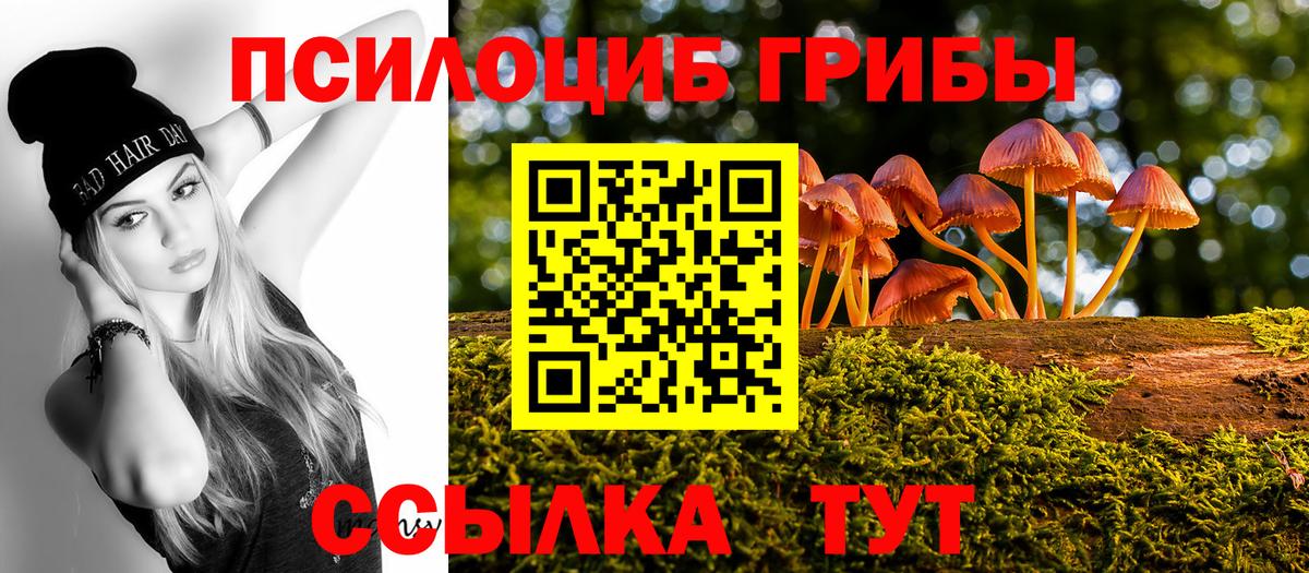 Псилоцибиновые грибы мухоморы Тара